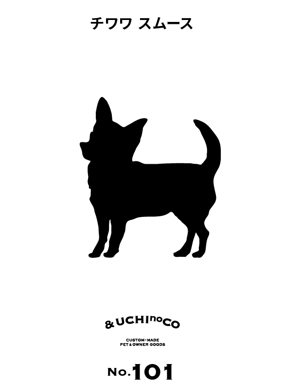 チワワ（スムース）