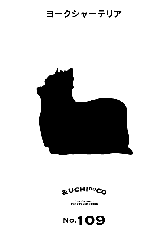 ヨークシャー・テリア