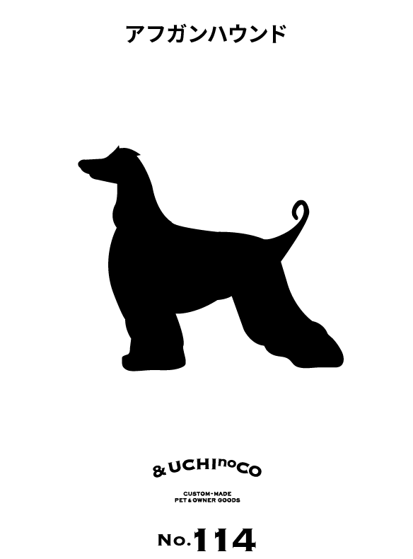 アフガン・ハウンド