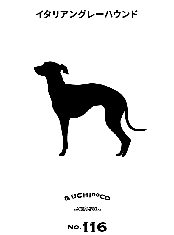 イタリアン・グレーハウンド