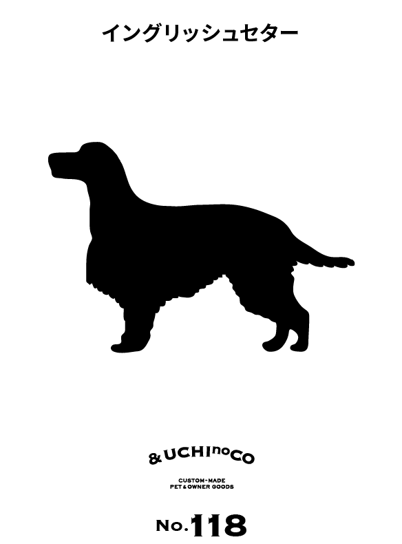 イングリッシュ・セター