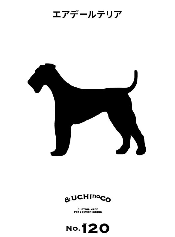 エアデール・テリア