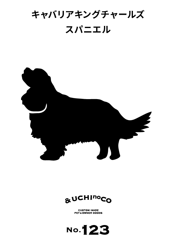 キャバリア・キング・チャールズ・スパニエル