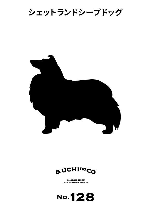シェットランド・シープドッグ