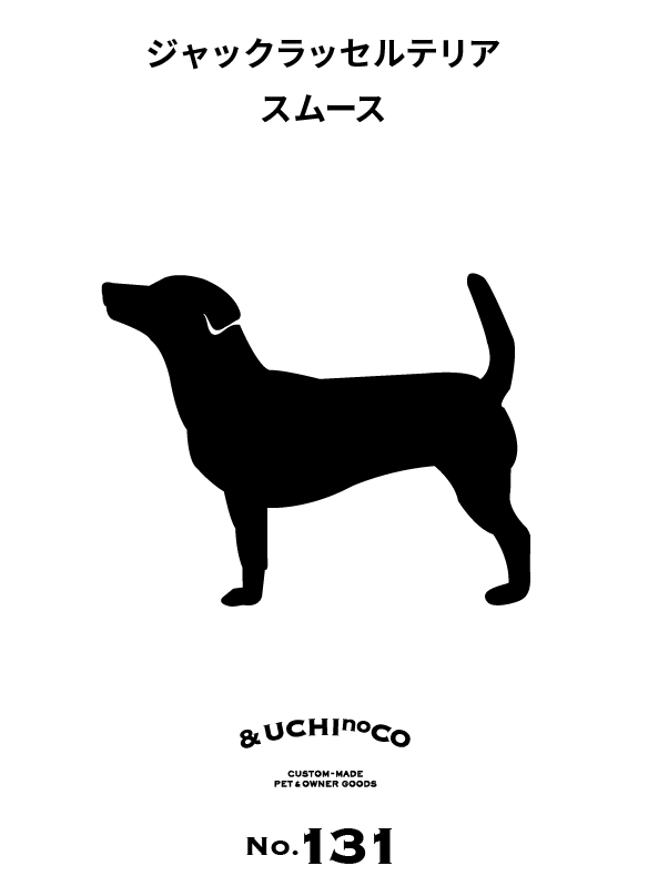 ジャックラッセルテリア（スムース）