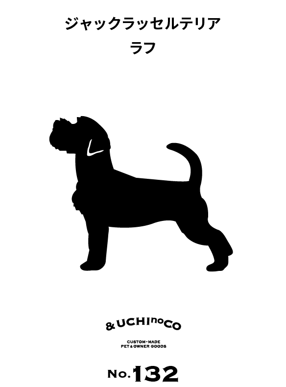 ジャックラッセルテリア（ラフ）