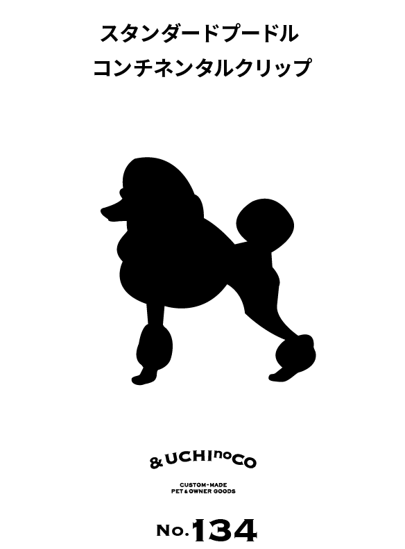 スタンダード・プードル（コンチネンタルクリップ）