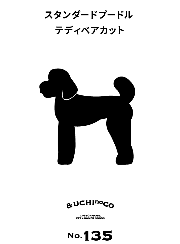スタンダード・プードル（テディベアカット）