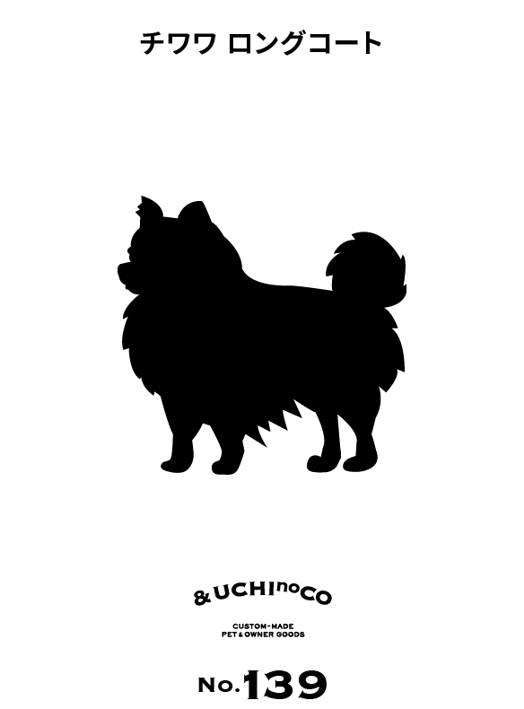チワワ（ロングコート）