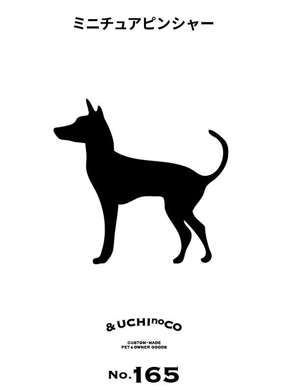 ミニチュア・ピンシャー