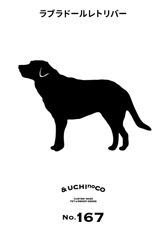 ラブラドールレトリバー