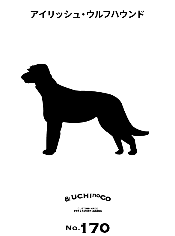 アイリッシュ・ウルフハウンド