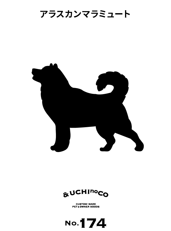 アラスカン・マラミュート