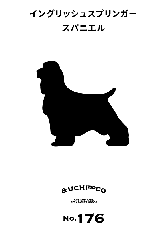 イングリッシュ・スプリンガー・スパニエル