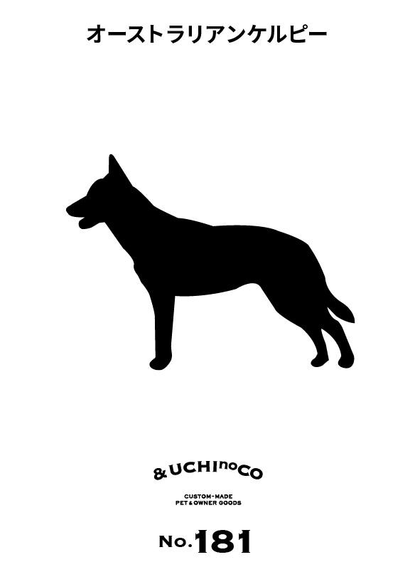 オーストラリアン・ケルピー