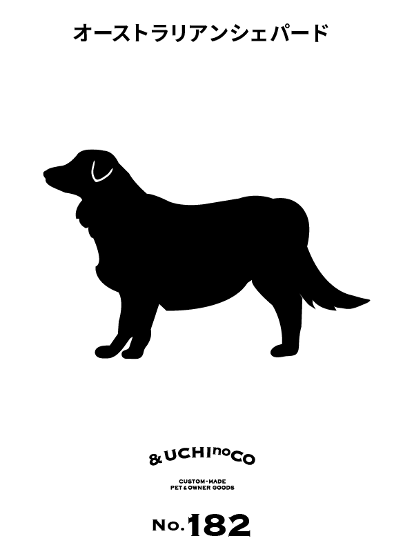 オーストラリアン・シェパード