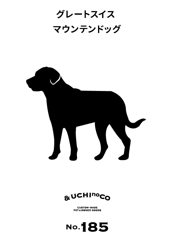 グレート・スイス・マウンテン・ドッグ