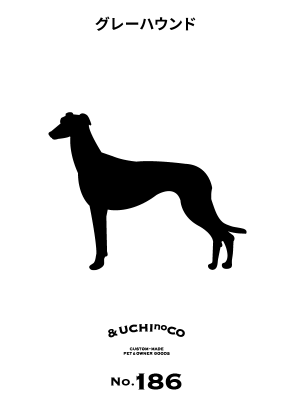 グレーハウンド