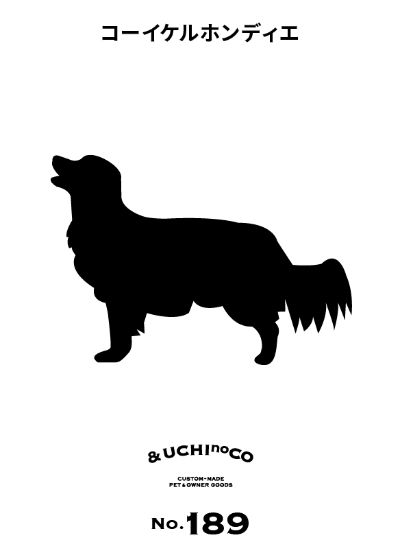 コーイケルホンディエ