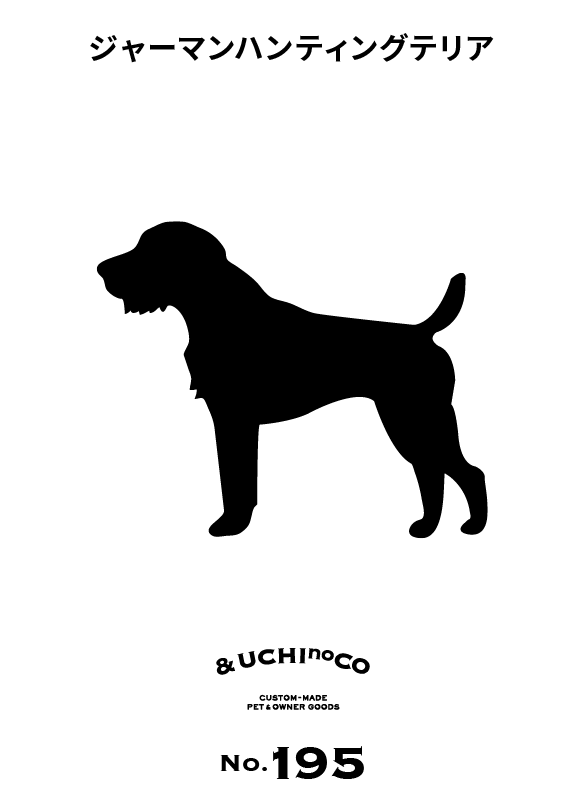 ジャーマン・ハンティング・テリア