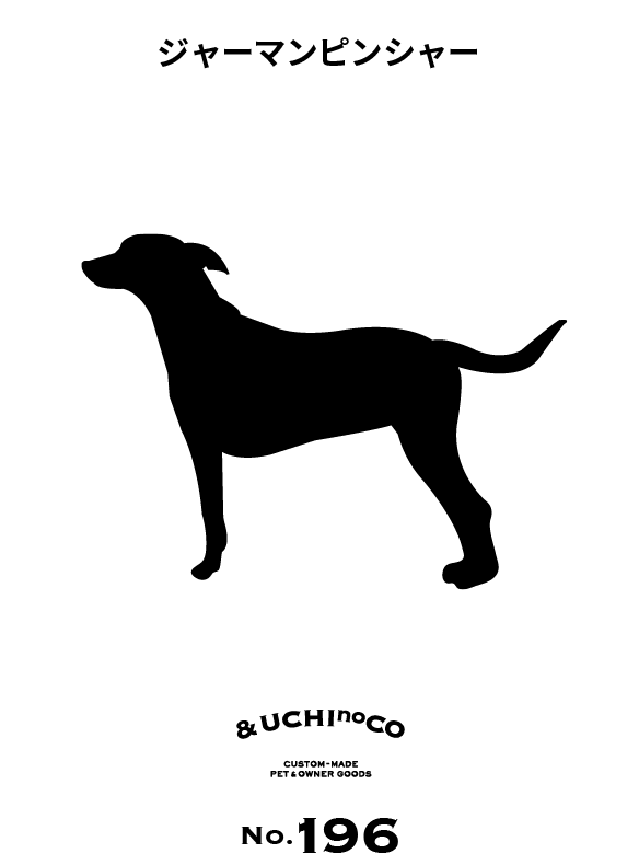 ジャーマン・ピンシャー