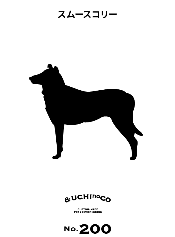 スムース・コリー