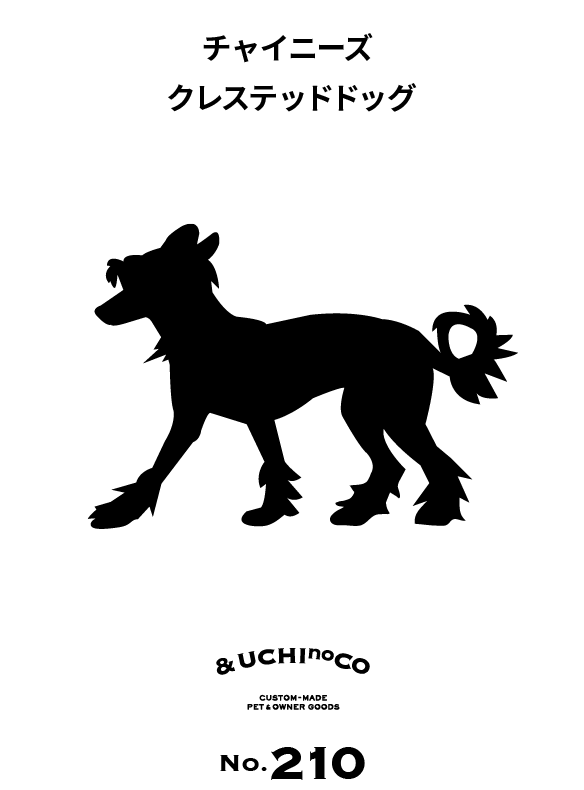 チャイニーズ・クレステッド・ドッグ