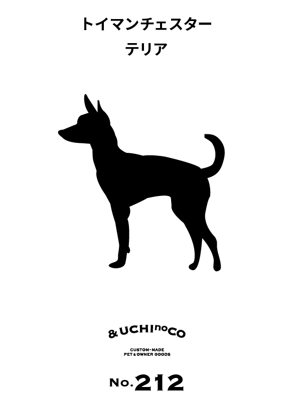 トイ・マンチェスター・テリア