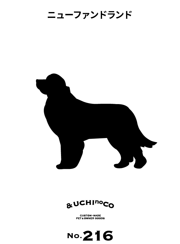 ニューファンドランド