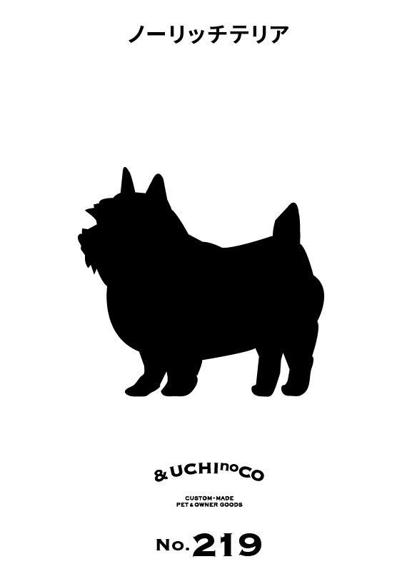 ノーリッチ・テリア