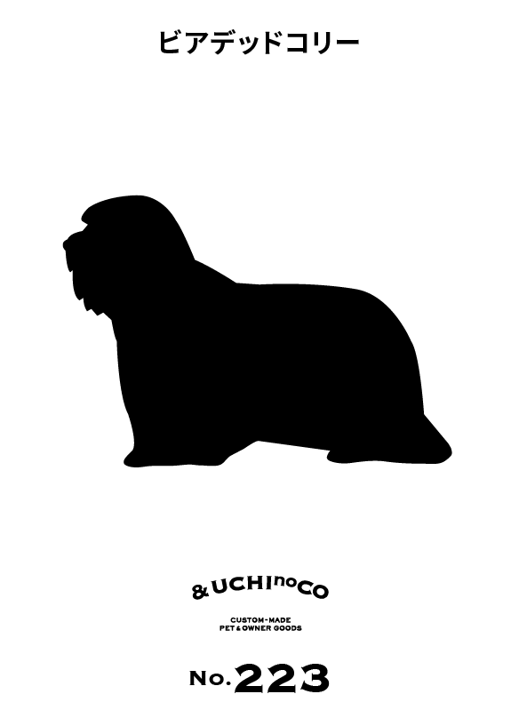 ビアデッド・コリー