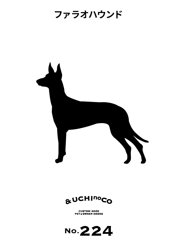 ファラオ・ハウンド