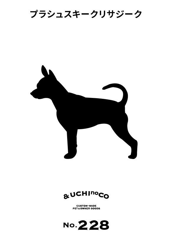 プラシュスキー・クリサジーク