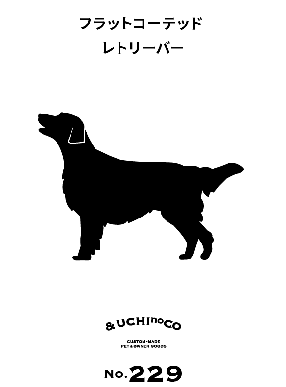 フラットコーテッド・レトリーバー