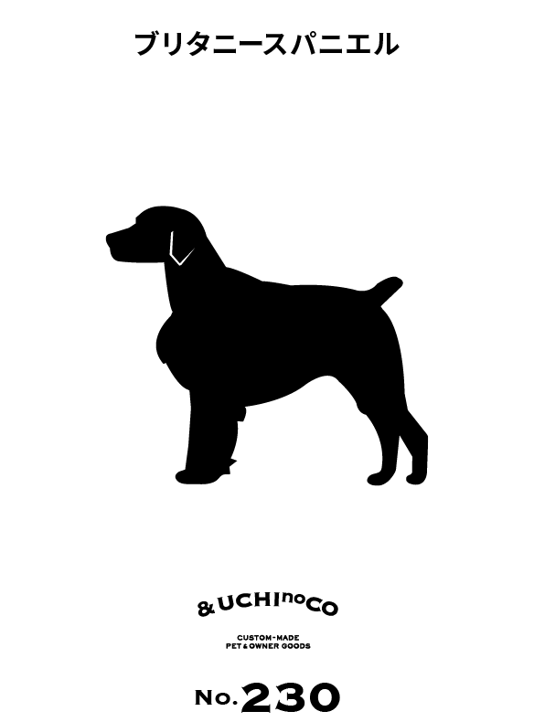 ブリタニー・スパニエル