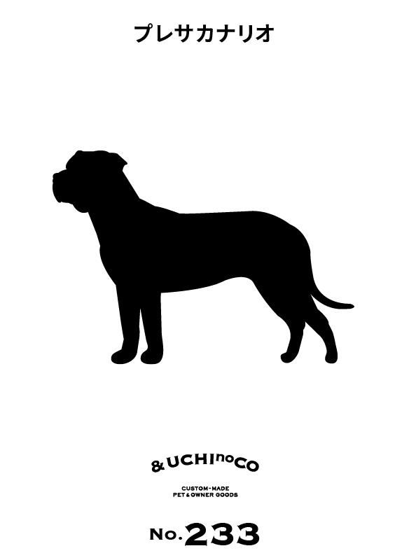 プレサ・カナリオ