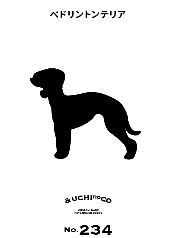 ベドリントン・テリア