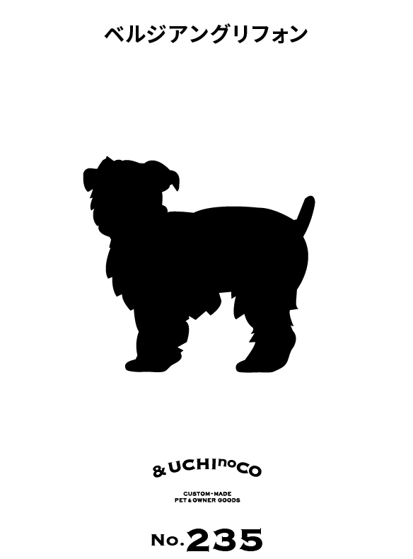 ベルジアン・グリフォン