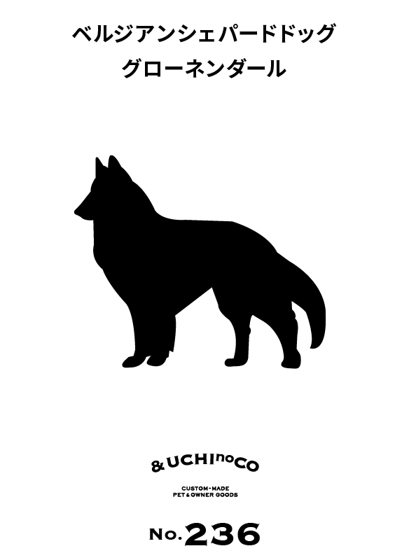 ベルジアン・シェパード・ドッグ・グローネンダール