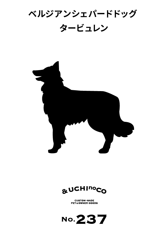 ベルジアン・シェパード・ドッグ・タービュレン