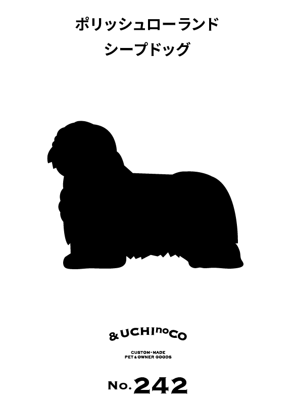 ポリッシュ・ローランド・シープドッグ