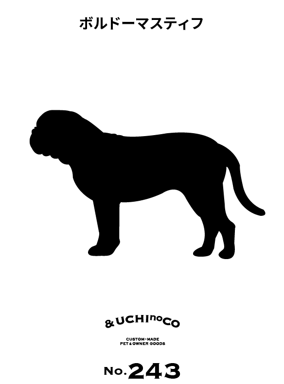 ボルドー・マスティフ