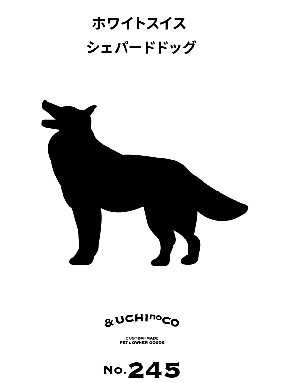 ホワイト・スイス・シェパード・ドッグ