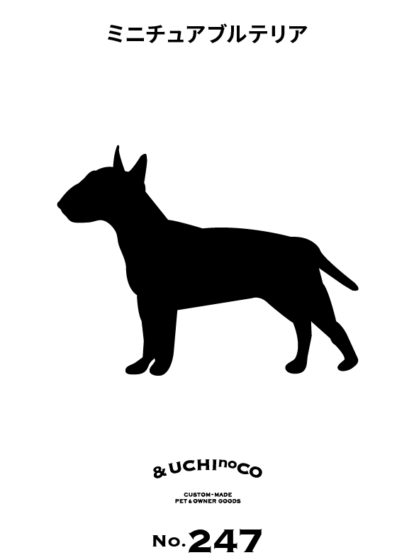 ミニチュア・ブル・テリア