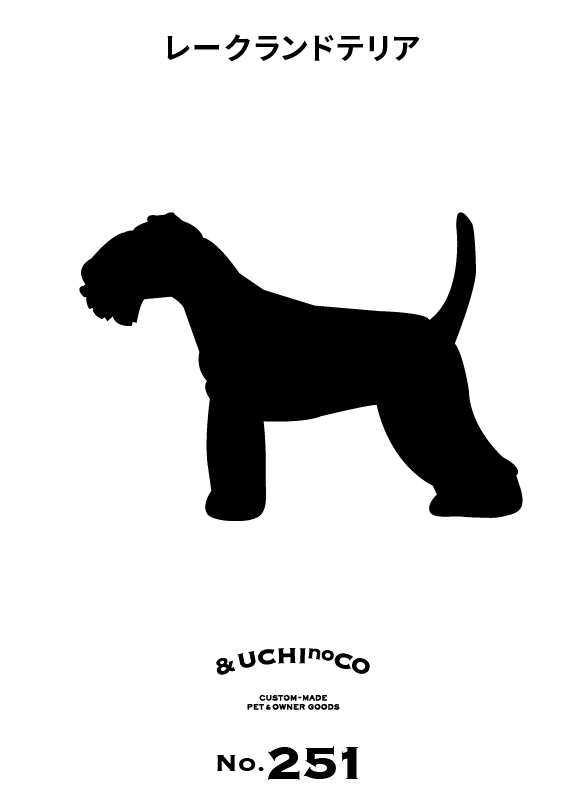 レークランド・テリア