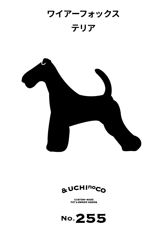 ワイアー・フォックス・テリア