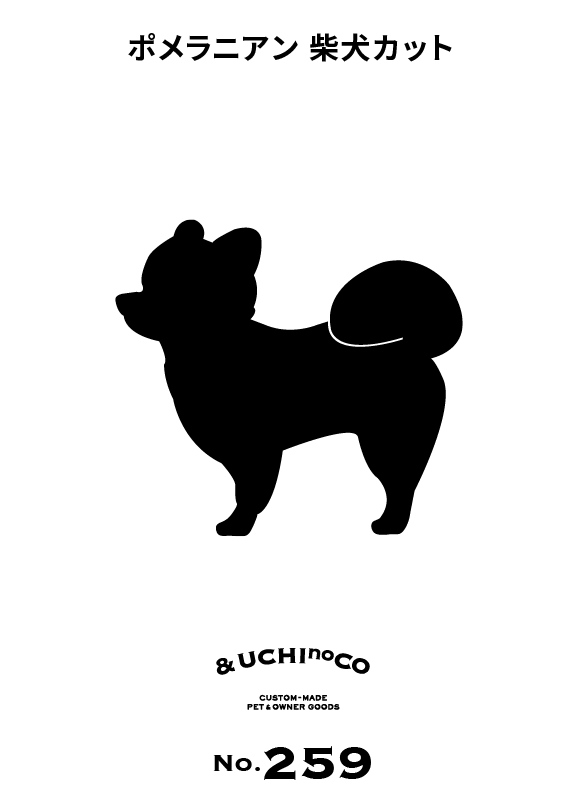 ポメラニアン（柴犬カット）
