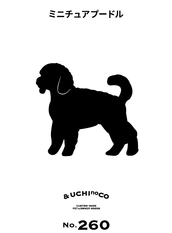 ミニチュアプードル