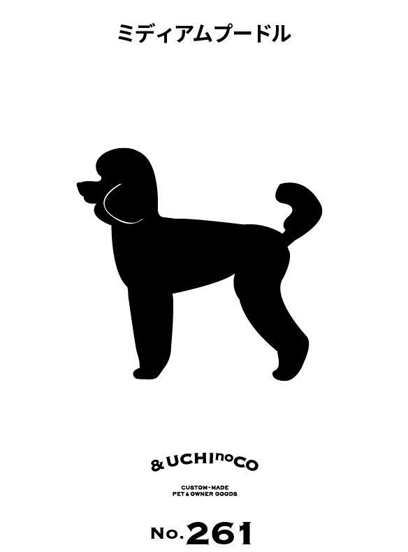 ミディアム・プードル