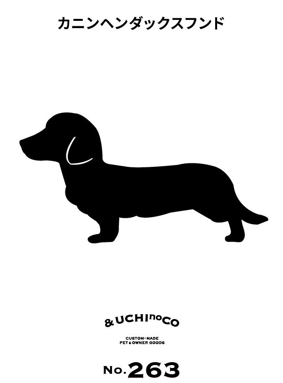 カニンヘン・ダックスフンド